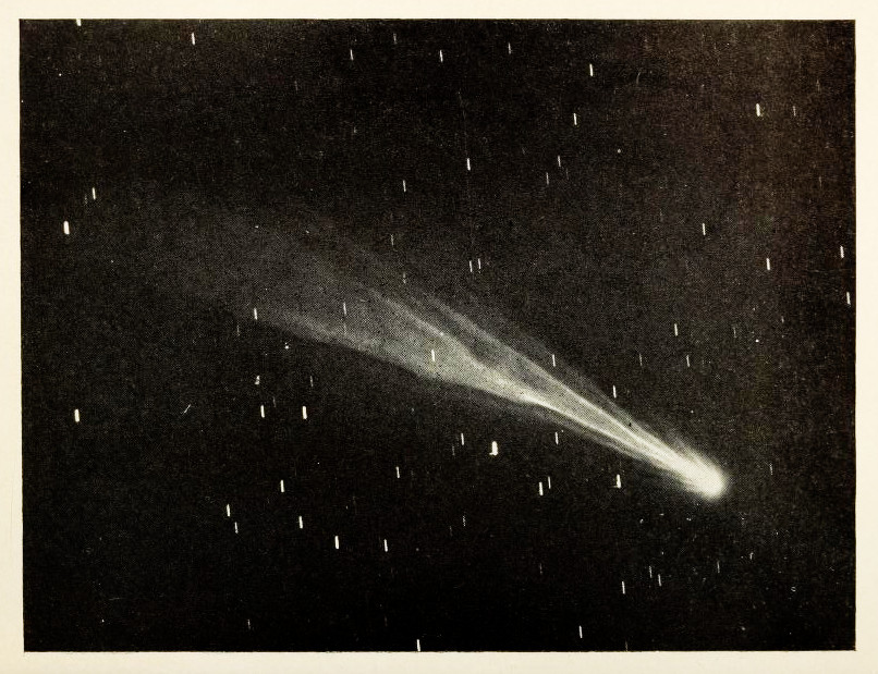 A photograph of a bright comet against a black, star-flecked sky, its long tail fanning out behind it.